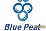 بستر کشت بلوبری بلوپیت BluePeat>