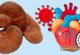 خواص قارچ گانودرما